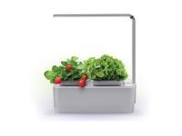 Каталог Компактный смарт-сад iGarden LED с подсветкой от интернет-магазина «7 Сувениров»