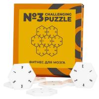 Каталог Головоломка Challenging Puzzle Acrylic, модель 3 от интернет-магазина «7 Сувениров»