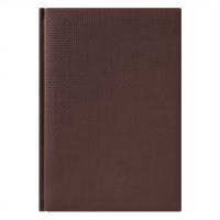 Каталог Ежедневник недатированный City Canyon 145х205 мм, без календаря, коричневый от интернет-магазина «7 Сувениров»