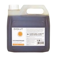 Каталог Антисептик для рук Evolut 3л с ионами серебра (гель без спирта) от интернет-магазина «7 Сувениров»