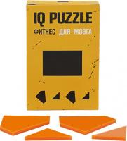 Каталог Головоломка IQ Puzzle Figures, прямоугольник от интернет-магазина «7 Сувениров»