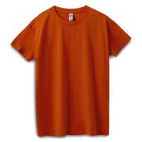 Каталог Футболка Imperial 190, коричневая (терракотовая) от интернет-магазина «7 Сувениров»