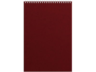 Бизнес - блокнот Альт А4 (198 х 285 мм) Office 60 л., бордовый