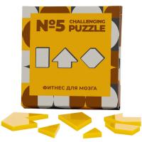 Каталог Головоломка Challenging Puzzle Acrylic, модель 5 от интернет-магазина «7 Сувениров»
