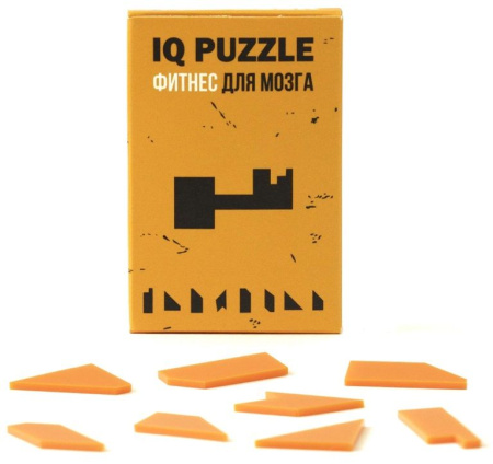 Каталог Головоломка IQ Puzzle, ключ от интернет-магазина «7 Сувениров»