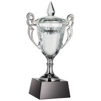 Каталог Кубок Victorious от интернет-магазина «7 Сувениров»