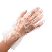 Каталог Перчатки полиэтиленовые M-L 100шт (50пар) от интернет-магазина «7 Сувениров»