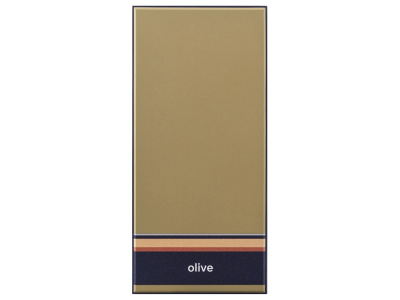 Внешний аккумулятор Rombica NEO ARIA WIRELESS OLIVE, оливковый Внешний аккумулятор Rombica NEO ARIA WIRELESS OLIVE, оливковый