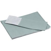 Каталог Набор Feast Mist: сервировочная салфетка и куверт, зеленый от интернет-магазина «7 Сувениров»