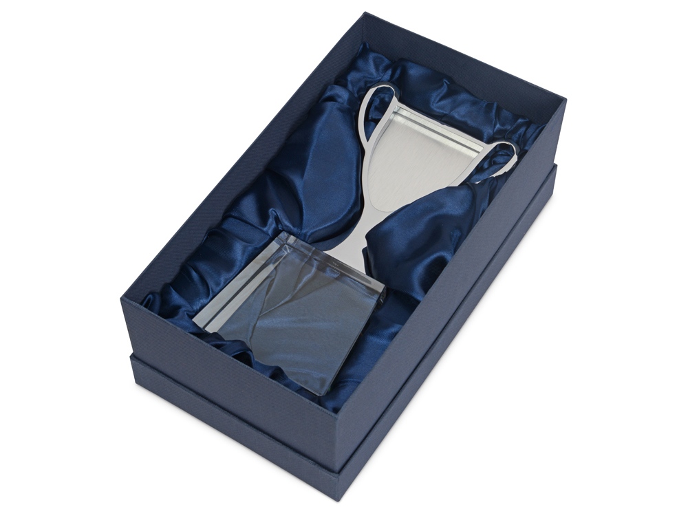 Кубок Champion, хрусталь, металл, в подарочной упаковке