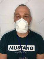 Каталог Респиратор FFP3 ШБ-1 Лепесток 200 от интернет-магазина «7 Сувениров»